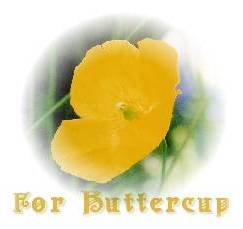 For Buttercup