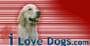 Please click here to vote for Rumble.  Thank you!