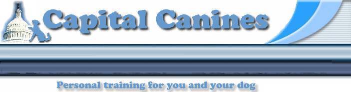 Capital Canines - Personal training for you and your dog