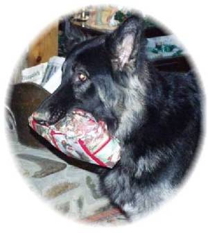 Rumble - December 2001