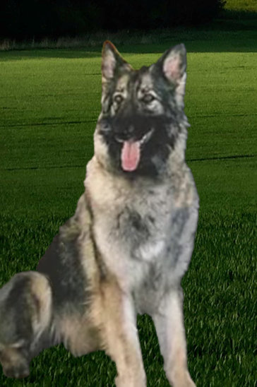 Skye